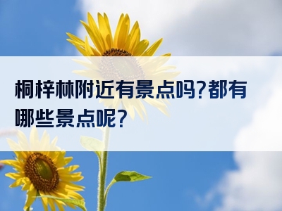 桐梓林附近有景点吗？都有哪些景点呢？