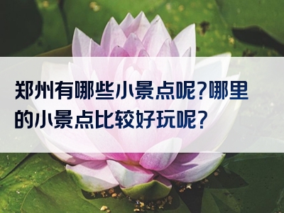 郑州有哪些小景点呢？哪里的小景点比较好玩呢？