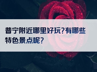 普宁附近哪里好玩？有哪些特色景点呢？