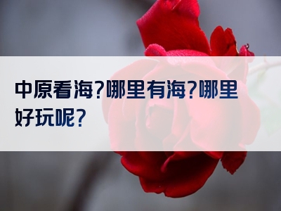 中原看海？哪里有海？哪里好玩呢？