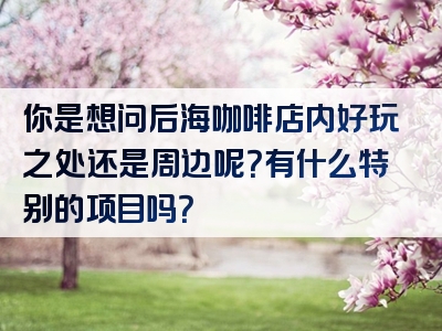 你是想问后海咖啡店内好玩之处还是周边呢？有什么特别的项目吗？