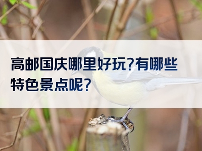 高邮国庆哪里好玩？有哪些特色景点呢？