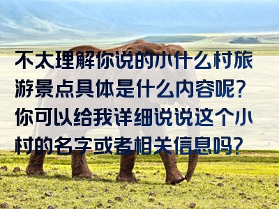 不太理解你说的小什么村旅游景点具体是什么内容呢？你可以给我详细说说这个小村的名字或者相关信息吗？