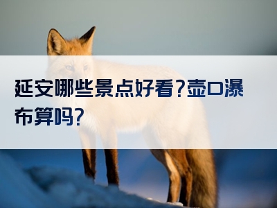 延安哪些景点好看？壶口瀑布算吗？