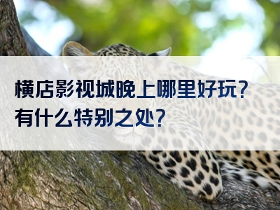 横店影视城晚上哪里好玩？有什么特别之处？