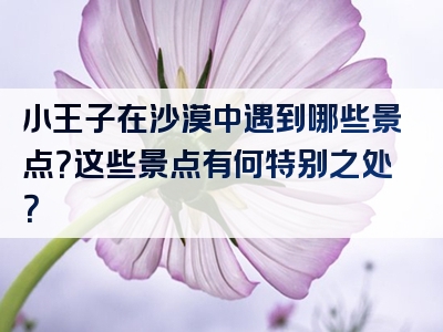小王子在沙漠中遇到哪些景点？这些景点有何特别之处？