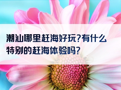 潮汕哪里赶海好玩？有什么特别的赶海体验吗？