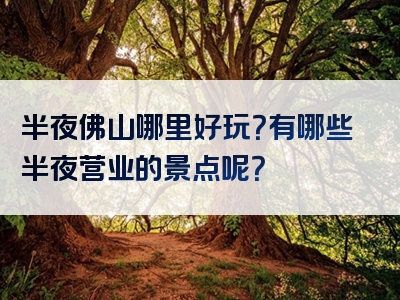 半夜佛山哪里好玩？有哪些半夜营业的景点呢？