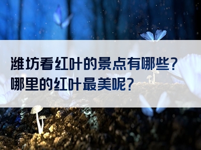 潍坊看红叶的景点有哪些？哪里的红叶最美呢？