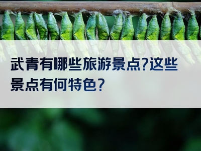 武青有哪些旅游景点？这些景点有何特色？