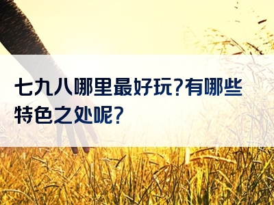 七九八哪里最好玩？有哪些特色之处呢？