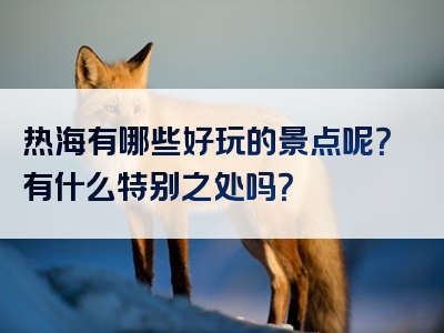 热海有哪些好玩的景点呢？有什么特别之处吗？