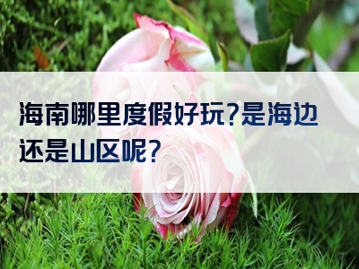 海南哪里度假好玩？是海边还是山区呢？