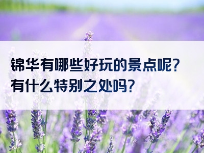 锦华有哪些好玩的景点呢？有什么特别之处吗？