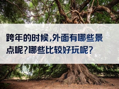 跨年的时候，外面有哪些景点呢？哪些比较好玩呢？