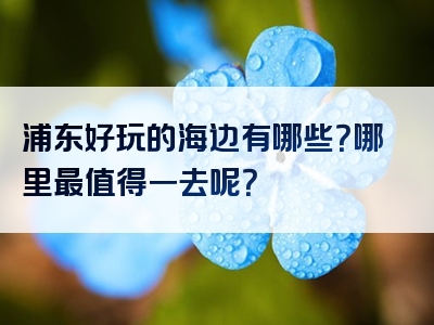 浦东好玩的海边有哪些？哪里最值得一去呢？