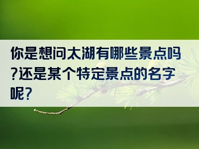 你是想问太湖有哪些景点吗？还是某个特定景点的名字呢？