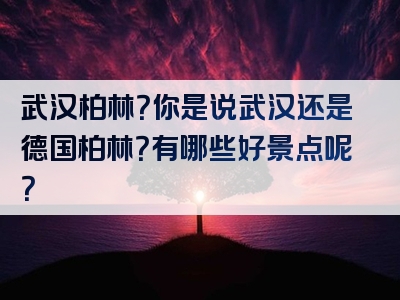 武汉柏林？你是说武汉还是德国柏林？有哪些好景点呢？