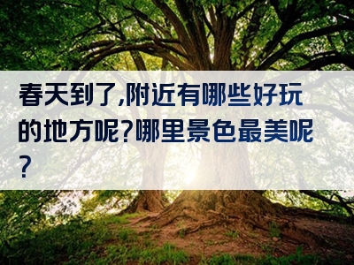 春天到了，附近有哪些好玩的地方呢？哪里景色最美呢？