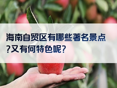 海南自贸区有哪些著名景点？又有何特色呢？