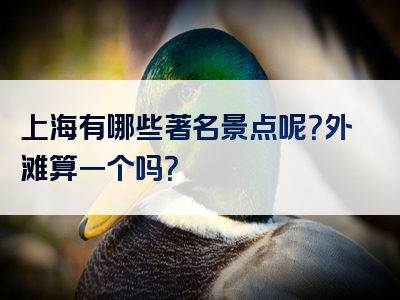 上海有哪些著名景点呢？外滩算一个吗？