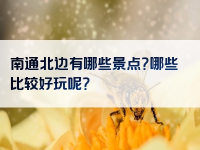 南通北边有哪些景点？哪些比较好玩呢？