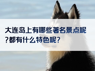 大连岛上有哪些著名景点呢？都有什么特色呢？