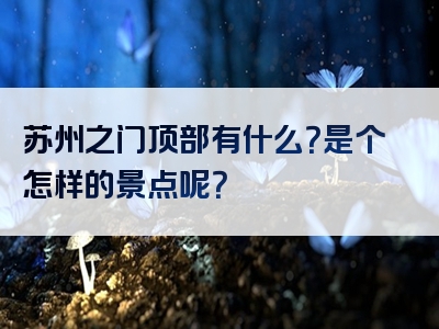 苏州之门顶部有什么？是个怎样的景点呢？
