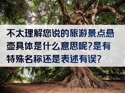 不太理解您说的旅游景点悬壶具体是什么意思呢？是有特殊名称还是表述有误？