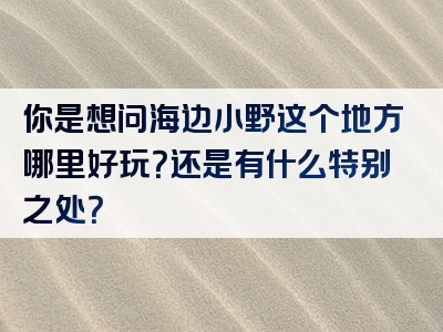 你是想问海边小野这个地方哪里好玩？还是有什么特别之处？