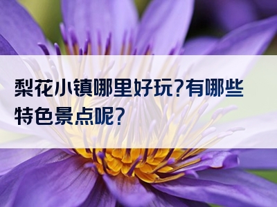 梨花小镇哪里好玩？有哪些特色景点呢？