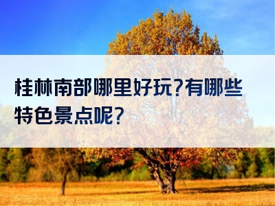 桂林南部哪里好玩？有哪些特色景点呢？