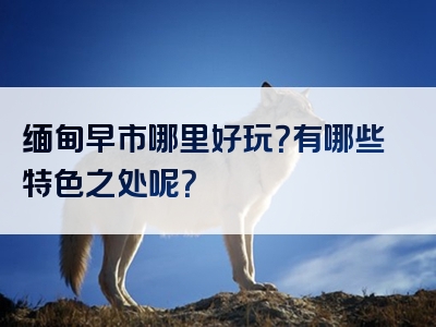 缅甸早市哪里好玩？有哪些特色之处呢？
