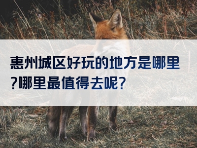 惠州城区好玩的地方是哪里？哪里最值得去呢？