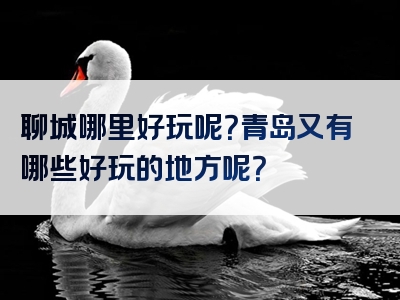 聊城哪里好玩呢？青岛又有哪些好玩的地方呢？