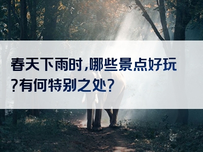 春天下雨时，哪些景点好玩？有何特别之处？