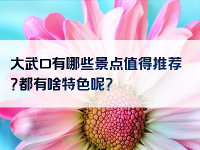 大武口有哪些景点值得推荐？都有啥特色呢？