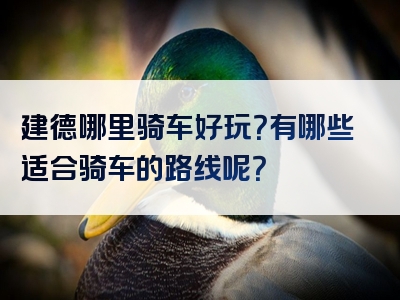 建德哪里骑车好玩？有哪些适合骑车的路线呢？