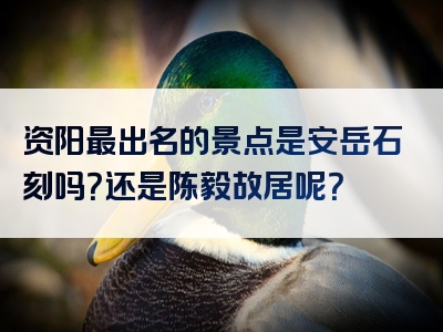 资阳最出名的景点是安岳石刻吗？还是陈毅故居呢？