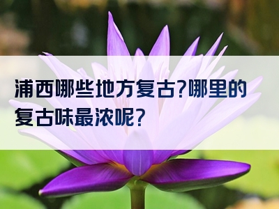 浦西哪些地方复古？哪里的复古味最浓呢？