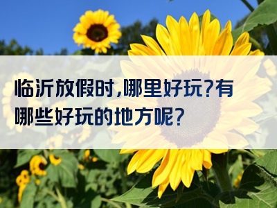 临沂放假时，哪里好玩？有哪些好玩的地方呢？