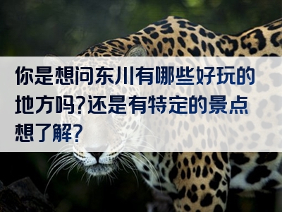 你是想问东川有哪些好玩的地方吗？还是有特定的景点想了解？