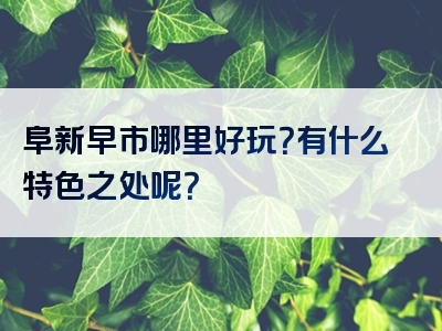 阜新早市哪里好玩？有什么特色之处呢？