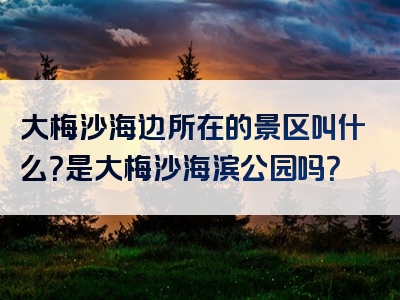 大梅沙海边所在的景区叫什么？是大梅沙海滨公园吗？