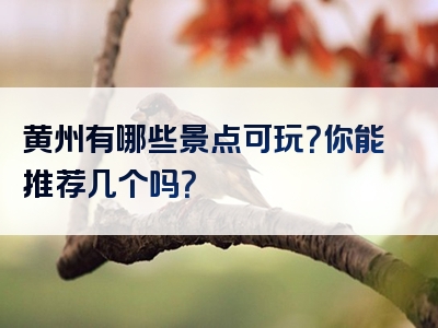 黄州有哪些景点可玩？你能推荐几个吗？