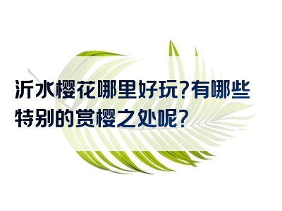 沂水樱花哪里好玩？有哪些特别的赏樱之处呢？