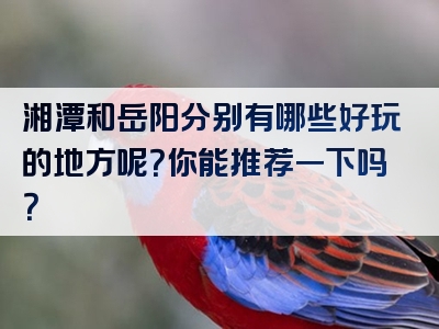 湘潭和岳阳分别有哪些好玩的地方呢？你能推荐一下吗？