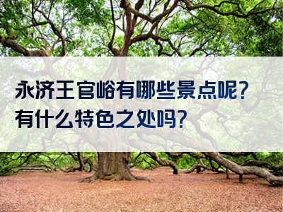 永济王官峪有哪些景点呢？有什么特色之处吗？