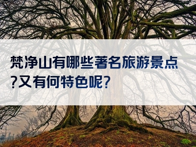 梵净山有哪些著名旅游景点？又有何特色呢？