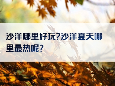 沙洋哪里好玩？沙洋夏天哪里最热呢？